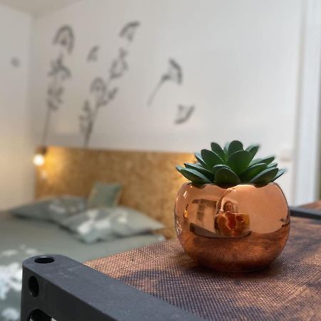 La Maison D'Angelique - Colocation Hoteliere A 150M Gare Tgv- Grande Cuisine Equipee & Salon - Fibre - Netflix Niort Exteriör bild